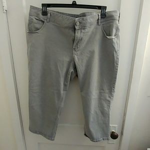 Gray Lane Bryant capris/short pants